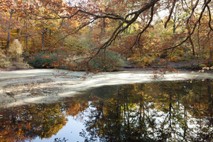 Réparation dégât des eaux Rambouillet